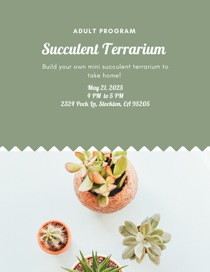 Adult Program Succul
